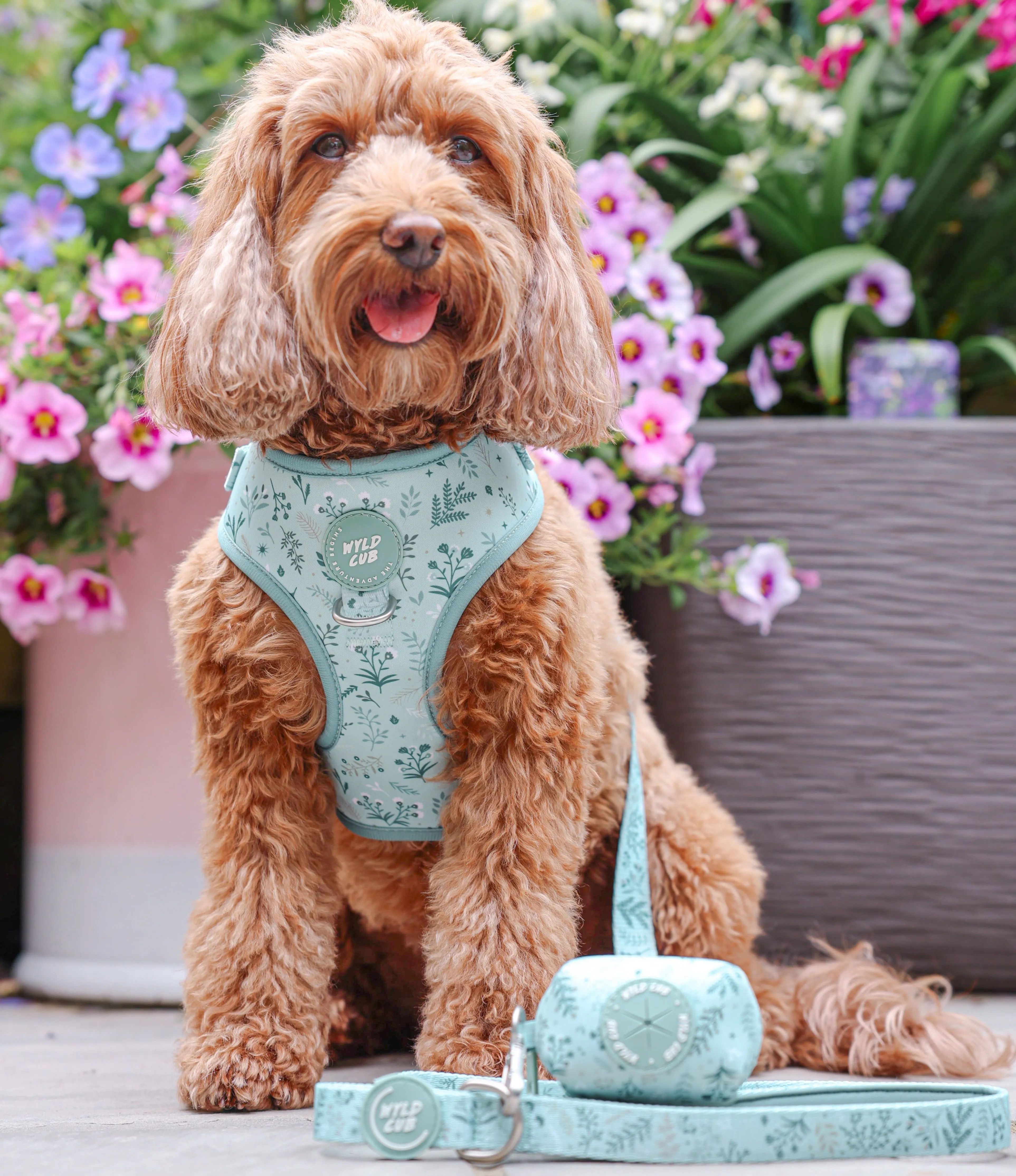Adjustable Dog Harness: Chiswick Pistachio