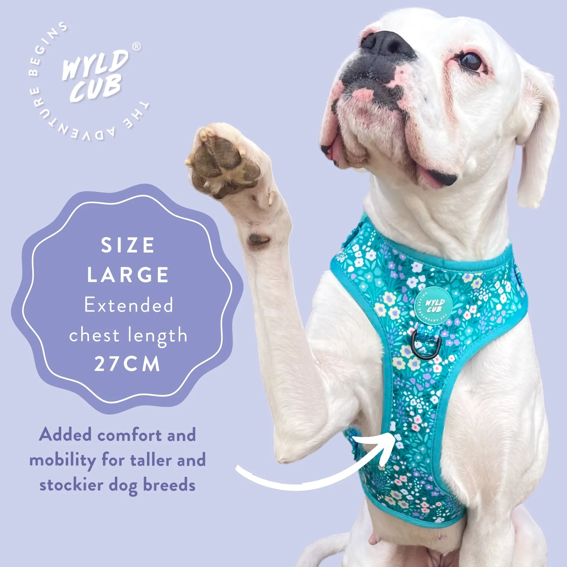 Adjustable Dog Harness: Notting Hill Mint